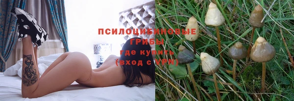 2c-b Алзамай