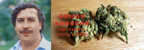 прущие грибы Россошь