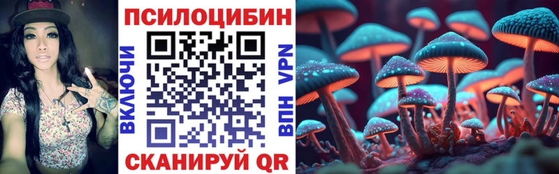 где можно купить   Калтан  Галлюциногенные грибы мухоморы 